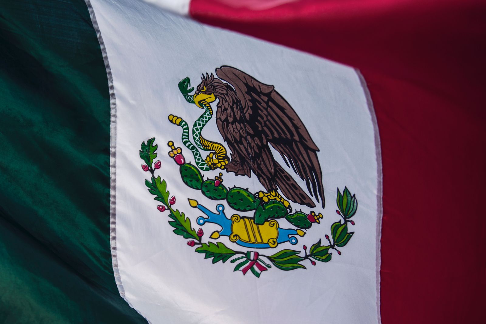 Made in Mexico